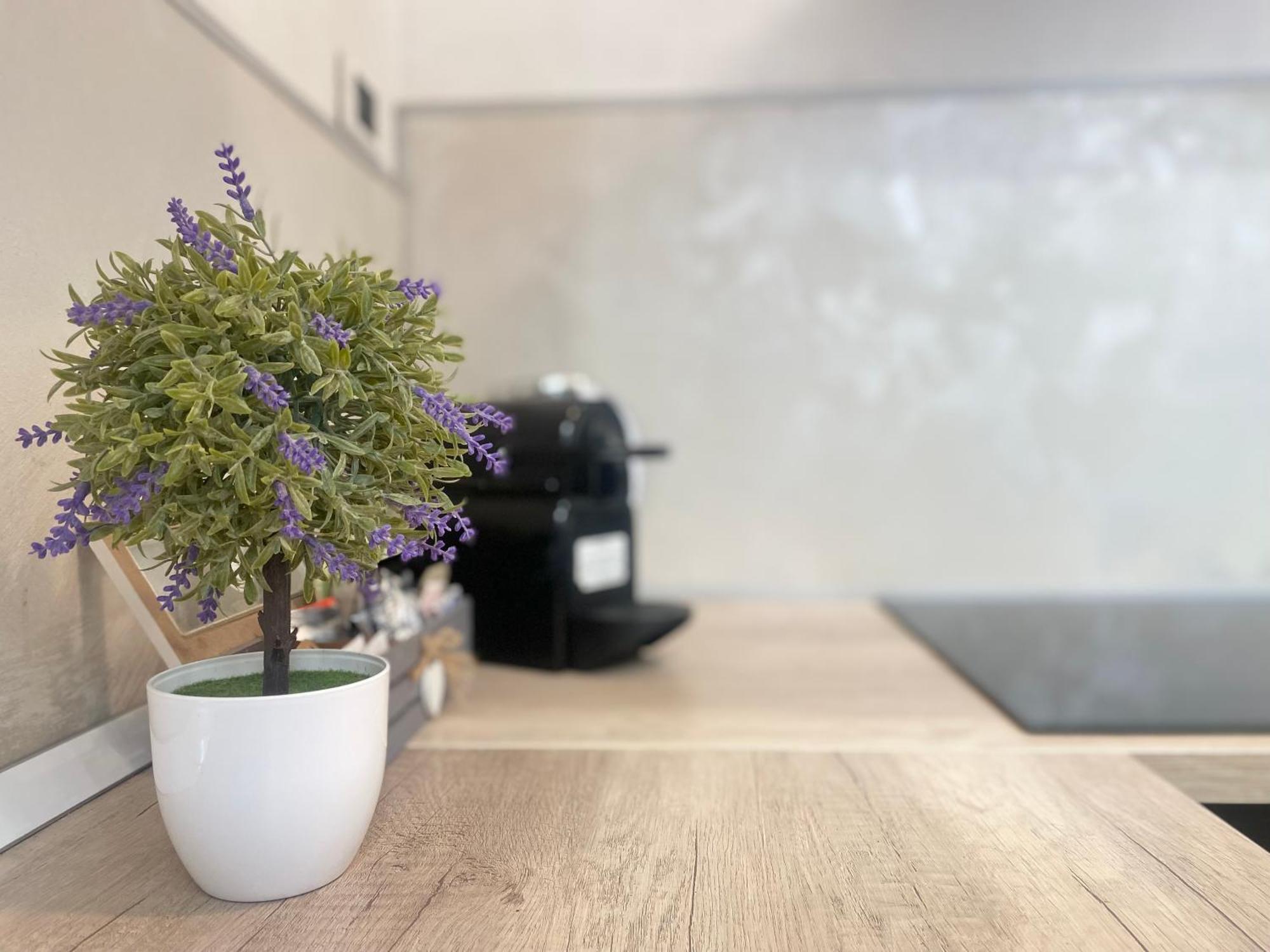 Mazzini 12 Very Central Apartment With Private Garage, Air Conditioning, Wifi, Just 50 Meters From The Beach Rapallo Exterior foto